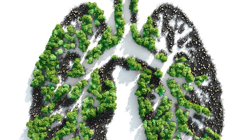 Climate Health: How the Climate Crisis Impacts Health Outcomes Worldwide